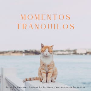 Salón De Mascotas: Sonidos De Cafetería Para Momentos Tranquilos - Café ChillHop