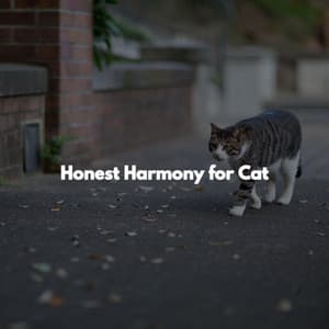 Honest Harmony for Cat - Jazz Relajante Clasico