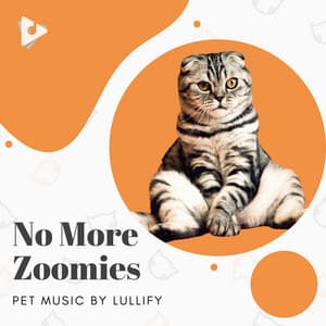 No More Zoomies - Pet Music by Lullify