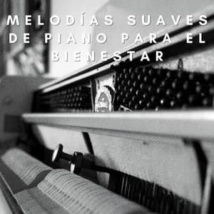 Reflexiones Del Spa: Melodías Suaves De Piano Para El Bienestar - Novela para piano