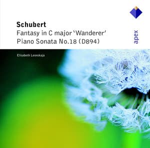 Schubert: Wanderer Fantasy, Op. 15 & Piano Sonata No. 18 - Franz Schubert