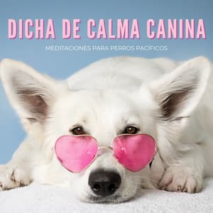 Dicha De Calma Canina: Meditaciones Para Perros Pacíficos - Colectivo de sonidos de la naturaleza y la selva tropical
