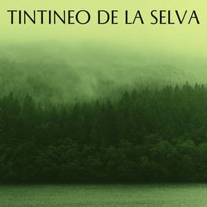 Tintineo De La Selva - Ruidos de la Selva
