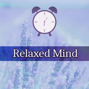 Relaxed Mind – Music for Rest, Classical Songs, Chillout, Tracks Reduce Stress - Classical Sleep Music