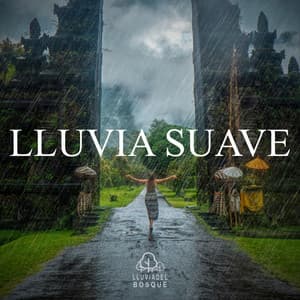 Lluvia Suave - Lluvia Del Bosque