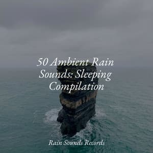 50 Ambient Rain Sounds: Sleeping Compilation - Ocean Waves For Sleep