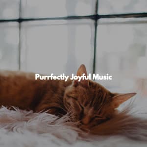 Purrfectly Joyful Music - Weekend Jazz Chillout