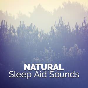 Natural Sleep Aid Sounds - Deep Sleep Nature Sounds