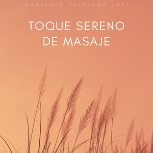 Toque Sereno De Masaje: Ambiente Relajado Lofi - Vibraciones lofi