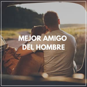 Mejor Amigo del Hombre - Mascotas tranquilas