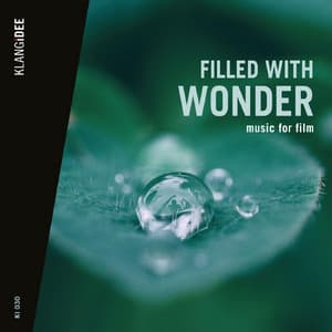 Filled With Wonder - Tony Delmonte