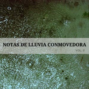Notas De Lluvia Conmovedora Vol. 2 - Naturaleza FX