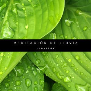 Meditación De Lluvia: Llovizna - Reiki