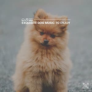 Exquisite Dog Music to Enjoy - Music for Sleeping Puppies