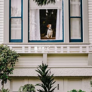 温室のビート - Restaurant Jazz Playlist