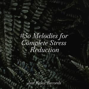 #50 Melodies for Complete Stress Reduction - Musica para Meditar
