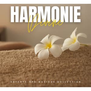 Harmonie Divine: Musique de Relaxation - Detente Spa Musique Collection