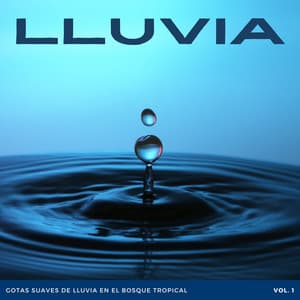 Lluvia: Gotas Suaves De Lluvia En El Bosque Tropical Vol. 1 - ASMR Lluvioso