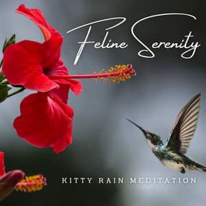 Feline Serenity: Rainfall Ambiance for Cats - Rainfall Meditations