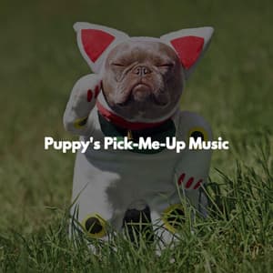 Puppy's Pick-Me-Up Music - Musica Relajante Lounge