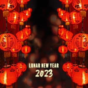 Lunar New Year 2023 – Traditional Chinese Music And White Noises - Birds From Nowhere
