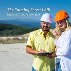 The Calming Forest Chill: Insects and Tuning Forks for Work - Sounds of the Jungle