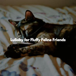 Lullaby for Fluffy Feline Friends - Rilassante Jazz Musica Ambiente