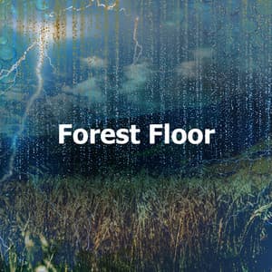 Forest Floor - Calming for Dogs