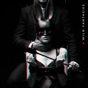 Wild Fantasies - Sensual Music Paradise