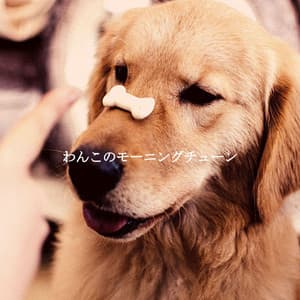 わんこのモーニングチューン - Soft Jazz Background Music