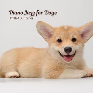 Piano Jazz for Dogs: Chilled Out Tunes - Relaxing Jazz Piano