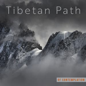 Tibetan Path of Contemplation - Deep Meditation Instrumental Music for Body and Mind - Meditation Music Masters