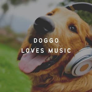 Doggo Loves Music - Official Pet Care Collection