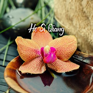 Oriental Zen Spa Room - Ho Si Qiang