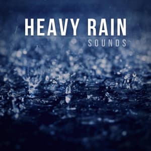 Heavy Rain Sounds - Background Noise From TraxLab