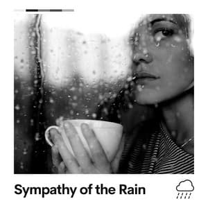 Sympathy of the Rain - Rain for Deep Sleeping