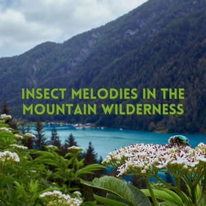 Insect Melodies in the Mountain Wilderness - Field Recordings