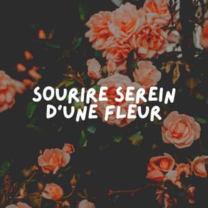 Sourire Serein D'une Fleur - Attrape-rêves oasis