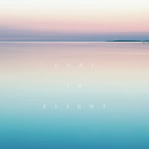 Lost In Flight - Terry Devine-King