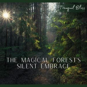 Silent Embrace - Tranquil Bliss