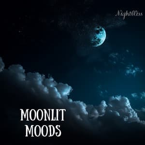 Moonlit Moods - Nightbliss