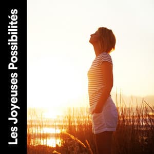 Les Joyeuses Possibilités - Zen Ambiance D'eau Calme