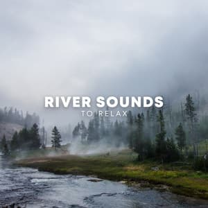 River Sounds To Relax - Jungle Sounds