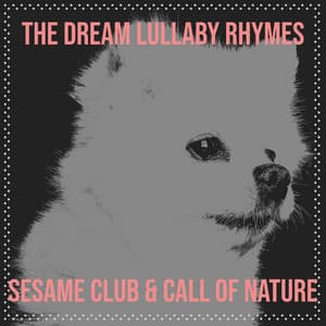 The Dream Lullaby Rhymes - Sesame Club