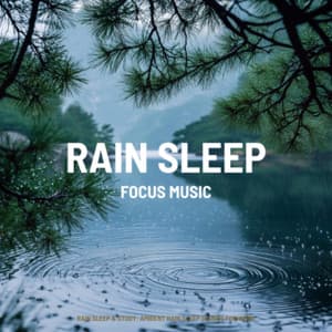 Rain Sleep & Study: Ambient Rain Sleep Sounds for Work - Focus Music