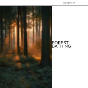 Forest Bathing: Reiki & Nature Sounds - Meditway