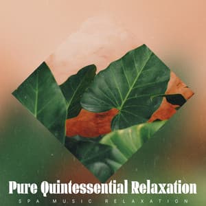 Pure Quintessential Relaxation - Spa Music Relaxation