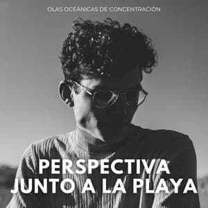 Perspectiva Junto A La Playa: Olas Oceánicas De Concentración - La naturaleza