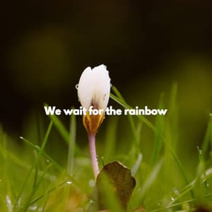 We wait for the rainbow - Hintergrund Jazz Musik