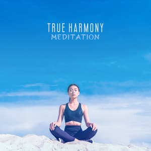 True Harmony Meditation: Deep Trance Contemplation, Mental Health - Tranquility Meditation Masters